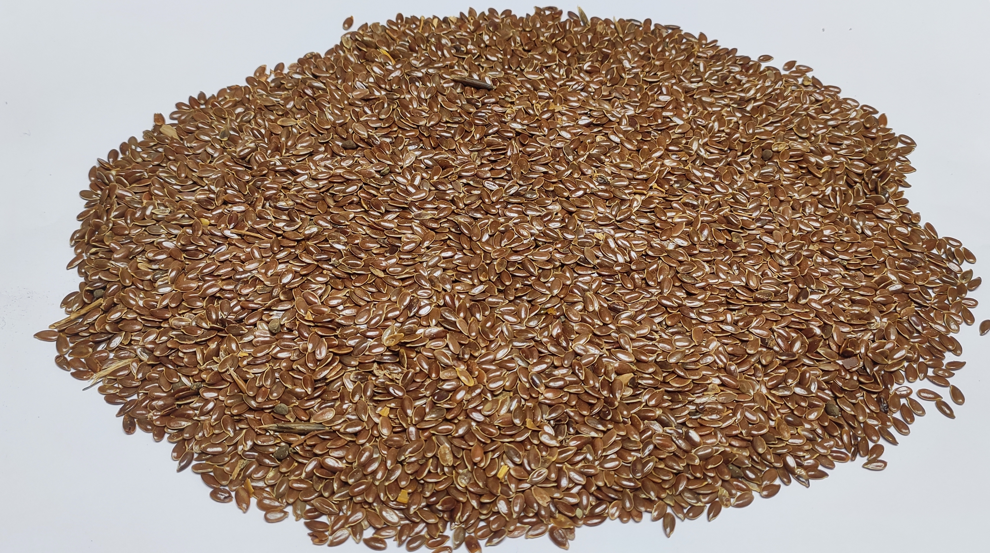 Lentils and grains